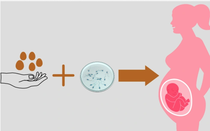 Emotional Side of Egg Donation